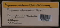 Image Associated With the Occurence